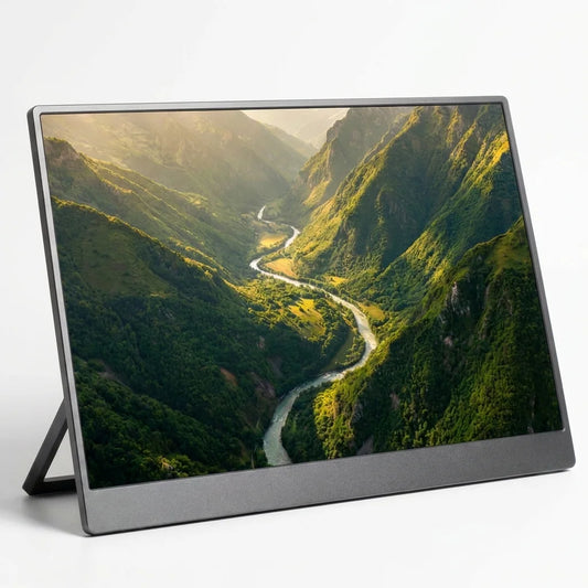 Portable Monitor